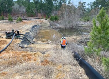 toad monitoring activities for Bastrop State Park restoration